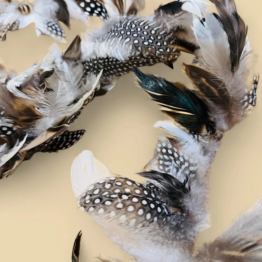 3 Yards of Chicken Duck Turkey Guinea Hen Quail Mixed Feather Trim NEW